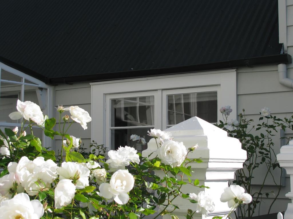 Historic Colenso Cottage Napier Exteriér fotografie